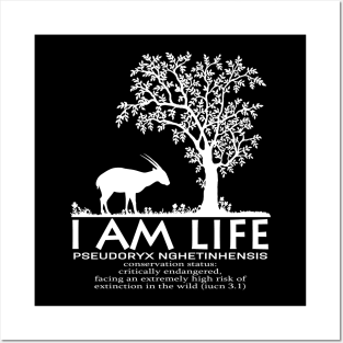 I am LIfe Posters and Art